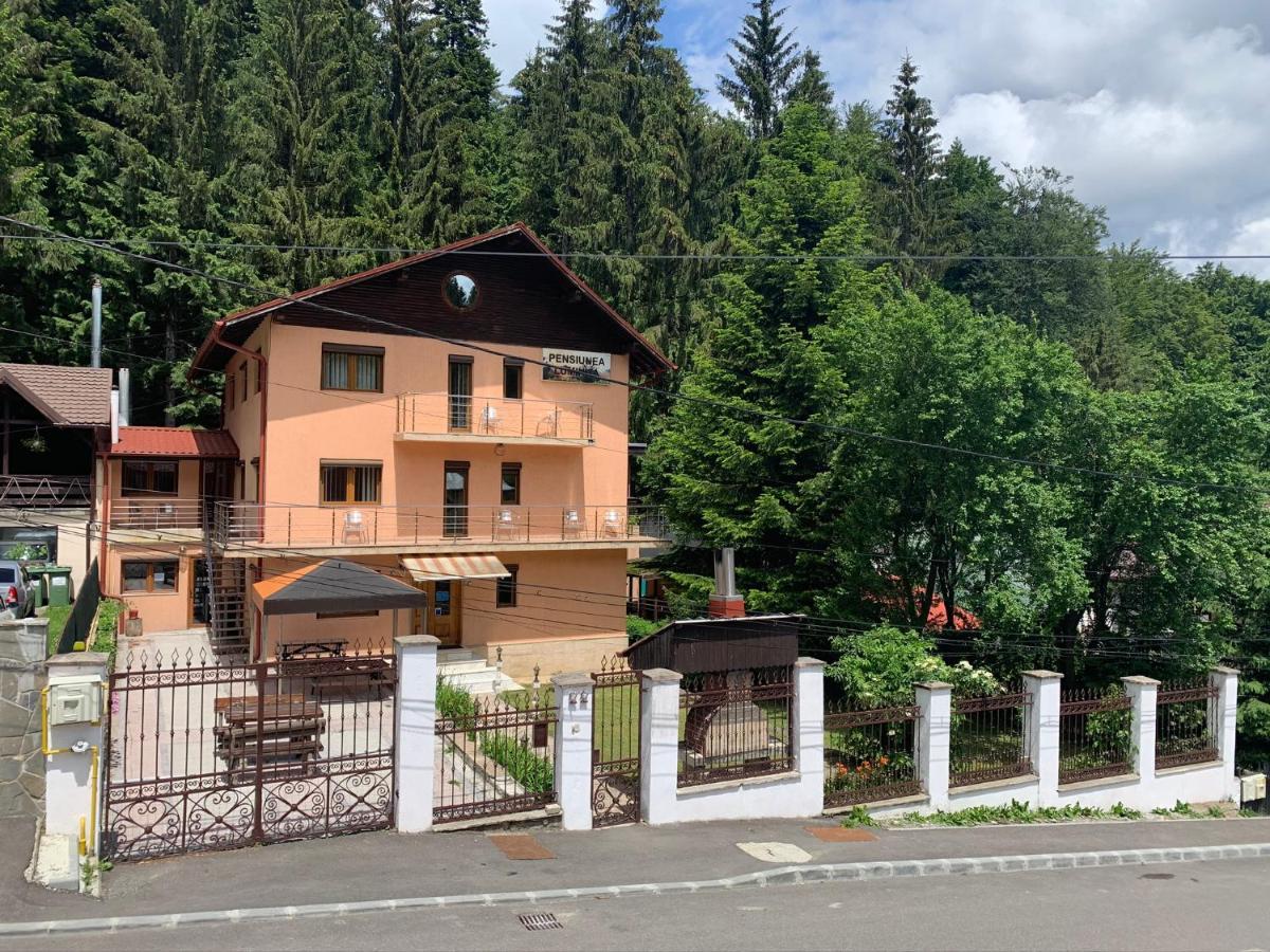 Pensiunea Luminita Буштени Экстерьер фото